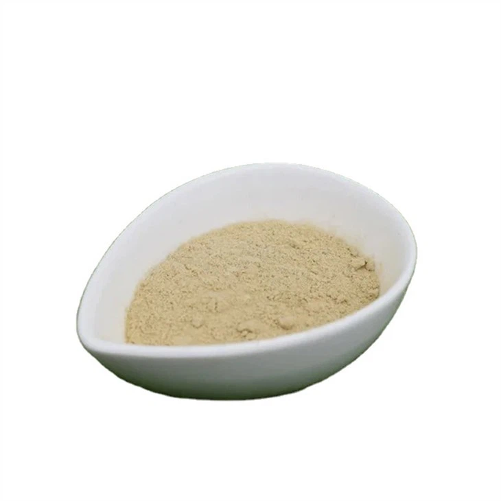 L Lysine HCL