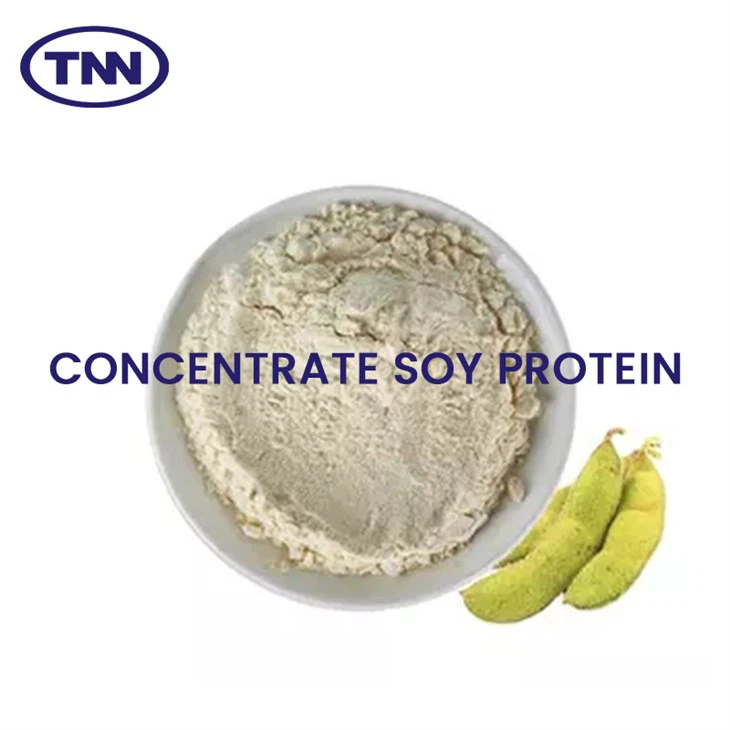 CONCENTRATE SOY PROTEIN