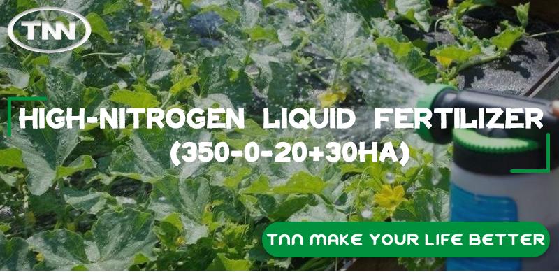 product-800-389 product-800-389